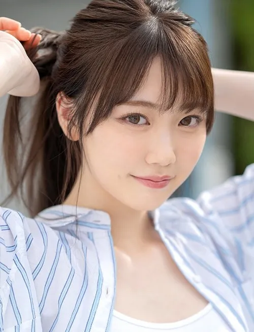 白色回声 完结